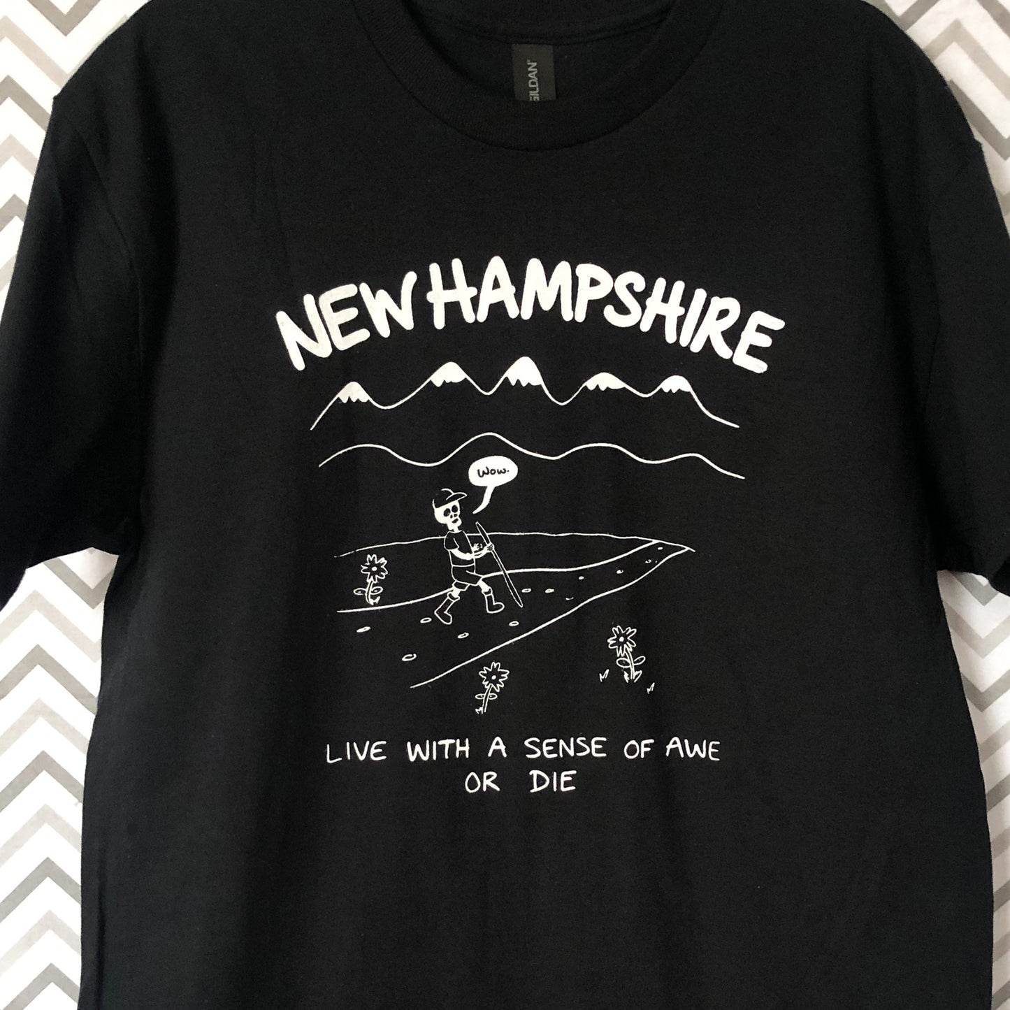 New Hampshire State t-shirt